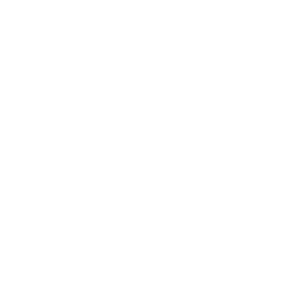 The Nest
